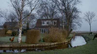 Friesblond - Natuur-waar je wel op zit wachten